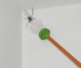 880635 Buzz XL Spider Catche
